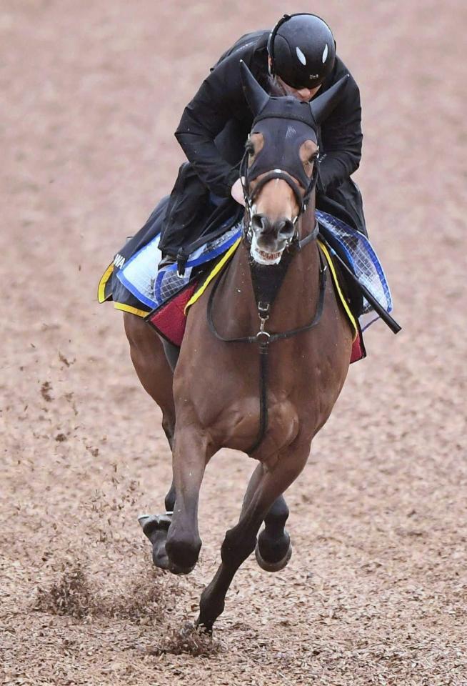 　７歳ながら充実期を迎えたロングラン（撮影・園田高夫）