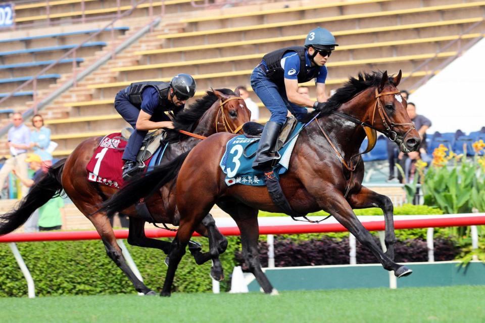 　軽快な動きを披露したサトノレーヴ（左）とタスティエーラ（ｃ）ＴｈｅＨｏｎｇＫｏｎｇＪｏｃｋｅｙＣｌｕｂ