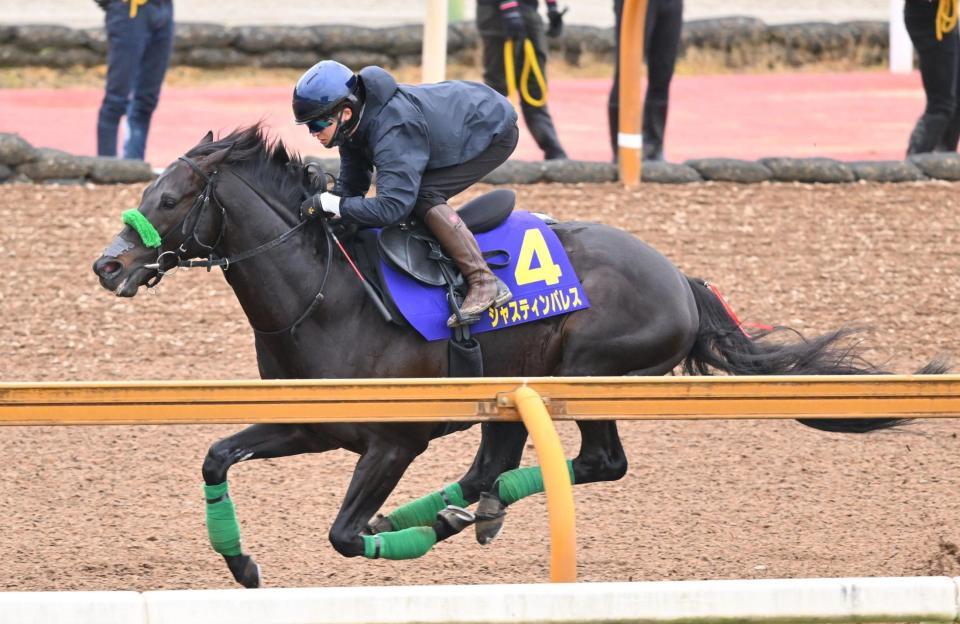 　栗東ＣＷで追い切るジャスティンパレス＝栗東トレセン（撮影・西田忠信）
