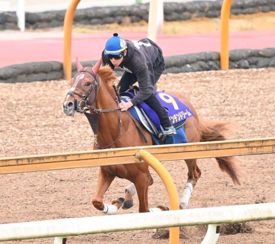 　栗東ＣＷで軽快な動きを披露したビザンチンドリーム（撮影・西田忠信）