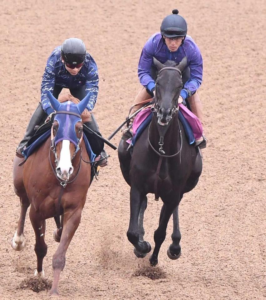 　迫力十分の動きで好調をアピールしたブラックルビー（右）＝撮影・園田高夫