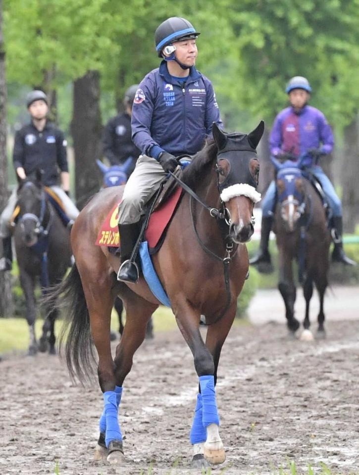 　ステレンボッシュ