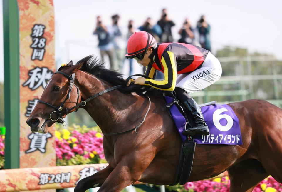 コニーアイランドの姉リバティアイランド