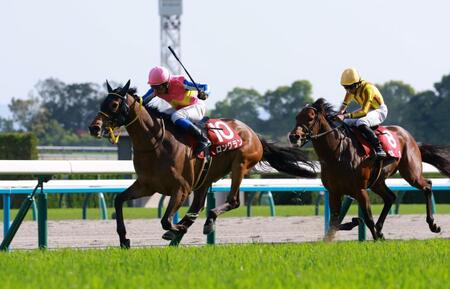 　岩田康誠のステッキに応え、末脚を伸ばすロングラン（左）＝撮影・石湯恒介