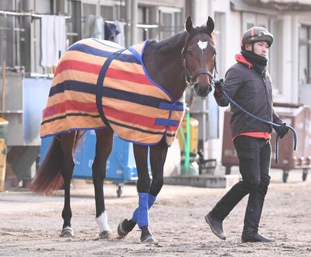 【クイーンエリザベス２世Ｃ】タスティエーラがＶ！プログノーシスが３年連続２着　３冠牝馬リバティアイランドは競走中止