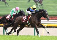 　エストゥペンダをかわすカムニャック（手前）