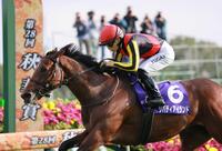 　三冠を達成したリバティアイランド＝２０２３年１０月撮影