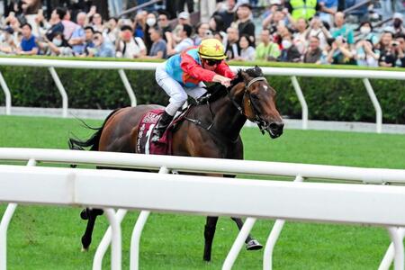 【チェアマンズSP】サトノレーヴ2着 絶対王者カーインライジングに完敗 モレイラ「素晴らしい走りでした」