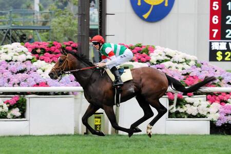 　好位から鮮やかに抜け出して海外Ｇ１初制覇を決めたタスティエーラ（Ｃ）Ｔｈｅ　Ｈｏｎｇ　Ｋｏｎｇ　Ｊｏｃｋｅｙ　Ｃｌｕｂ