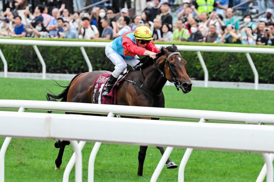 　自慢のスピードで１２連勝を決めたカーインライジング（Ｃ）Ｔｈｅ　Ｈｏｎｇ　Ｋｏｎｇ　Ｊｏｃｋｅｙ　Ｃｌｕｂ