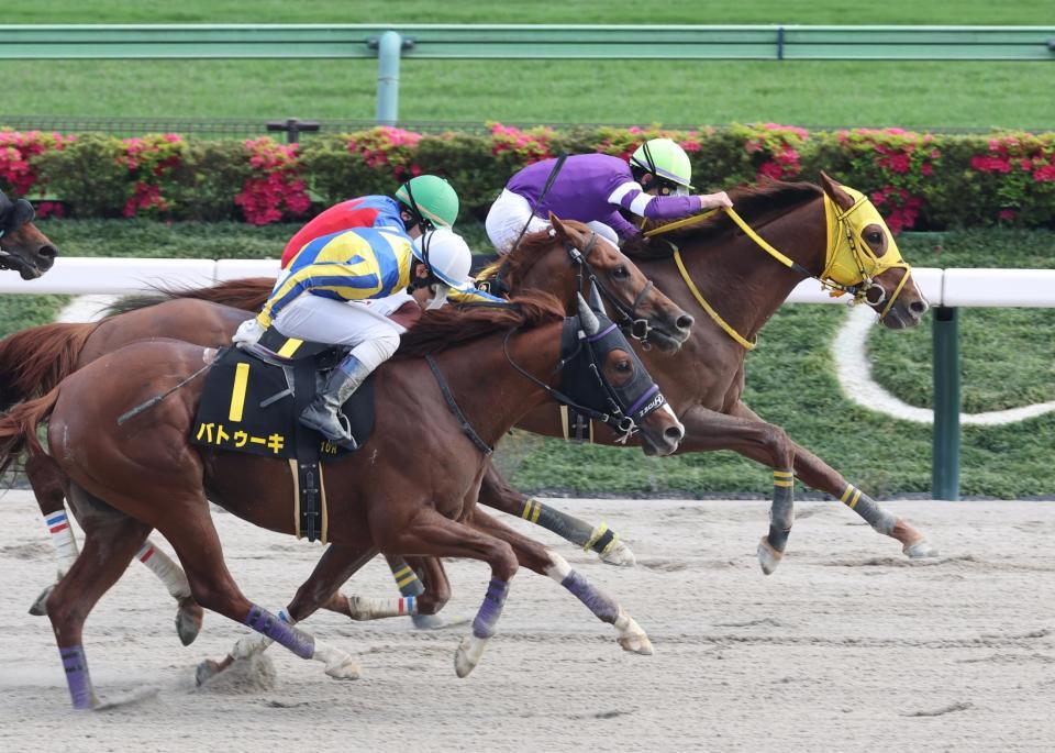 　バトゥーキ（左手前）の追い上げを振り切るバトルクライ（右）