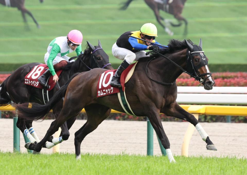 　エストゥペンダをかわすカムニャック（手前）