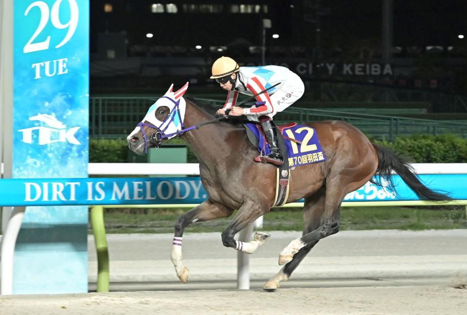 　羽田盃を制したナチュラルライズ（撮影・持木克友）