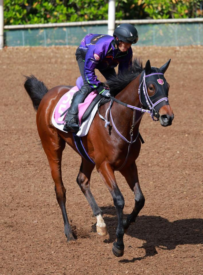 　牡馬撃破でタイトル獲得を目指すヴァリアリート