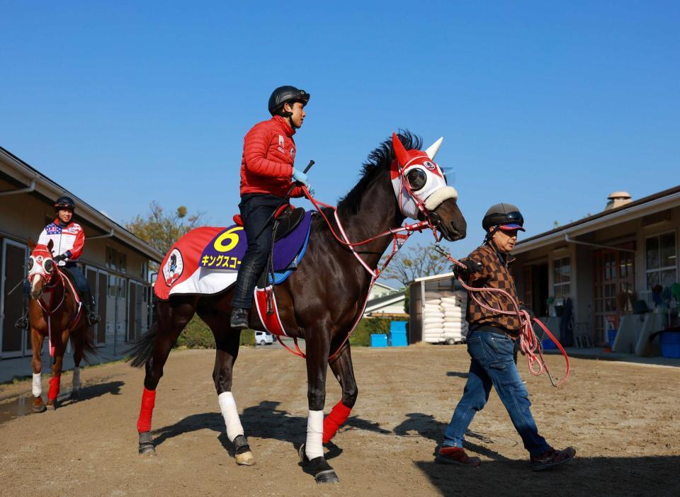 　キングスコール