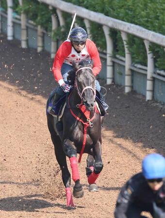 　栗東坂路で追い切るハヤテノフクノスケ（撮影・石井剣太郎）