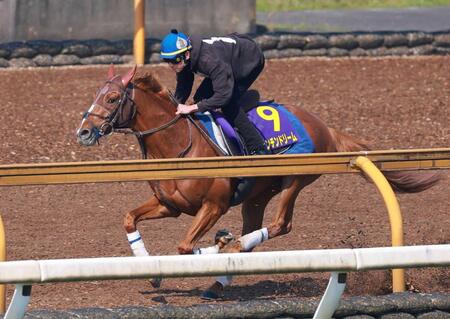 【天皇賞】ビザンチンドリーム　ラスト鋭伸　坂口師「リラックスして走れていた」動きの質を高評価