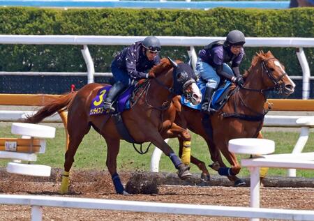 【天皇賞】サンライズアース　一気頂点デモ　盾役者へ駆け上がる　池添「これからの可能性も広がる」