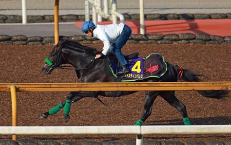 【天皇賞】ジャスティンパレス　復活Ｖ手応え　杉山晴師「使った上積みはある」前走以上の状態
