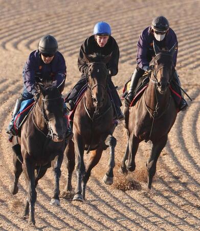 【天皇賞】ヘデントール　抑え切レーン　シビれる手応えのまま併入　木村師は自然体「やれることをやるだけ」