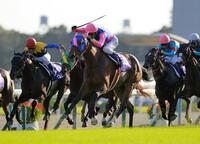 　直線で追うごとに伸び、秋華賞を制したメイショウマンボ（中央）＝２０１３年１０月