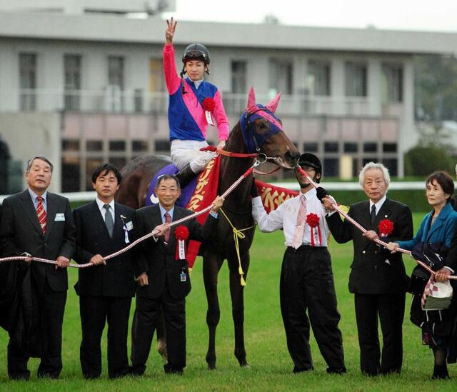 メイショウマンボが急死 15歳 G1・3勝で13年JRA最優秀3歳