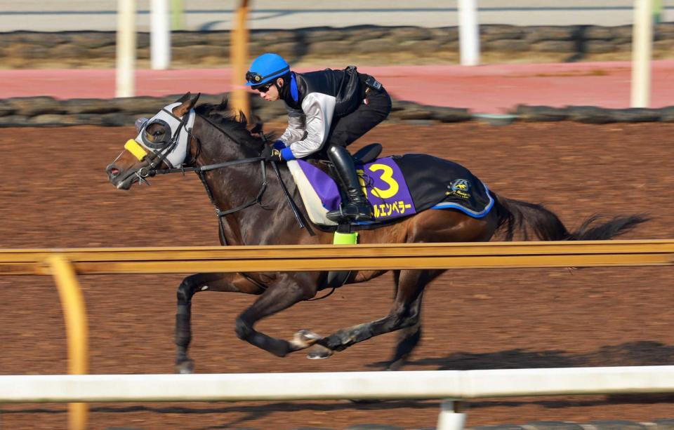 　栗東ＣＷで追い切るマイネルエンペラー（撮影・石湯恒介）