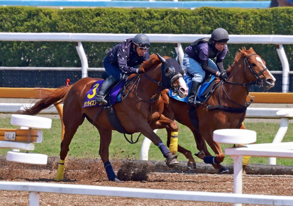 　栗東ＣＷでしっかり追われたサンライズアース（左）＝撮影・石湯恒介