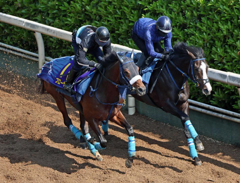 　栗東坂路を駆け上がるブローザホーン（左）＝撮影・石井剣太郎