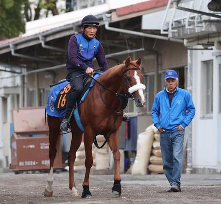 【プリンシパルＳ】レイニング　国枝師ラストダービーへ導く　伸び脚で併入　国枝師「集中して走れていた」