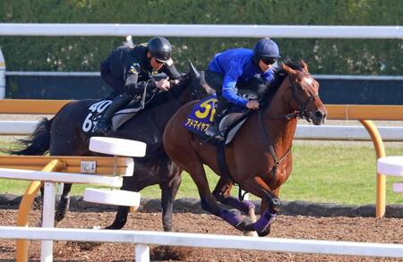 【ＮＨＫマイルＣ】アドマイヤズーム　豪快走　鞍上の合図で一気に加速　友道師は納得「いい１週前追い」