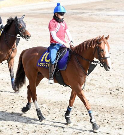 【京都＆東京の危険な人気馬】トウシンマカオ　東京１１Ｒ・京王杯ＳＣ