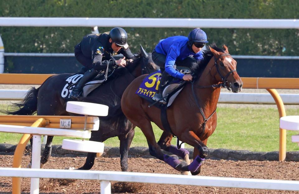 　栗東ＣＷで軽快な動きを見せたアドマイヤズーム（右）＝撮影・石湯恒介