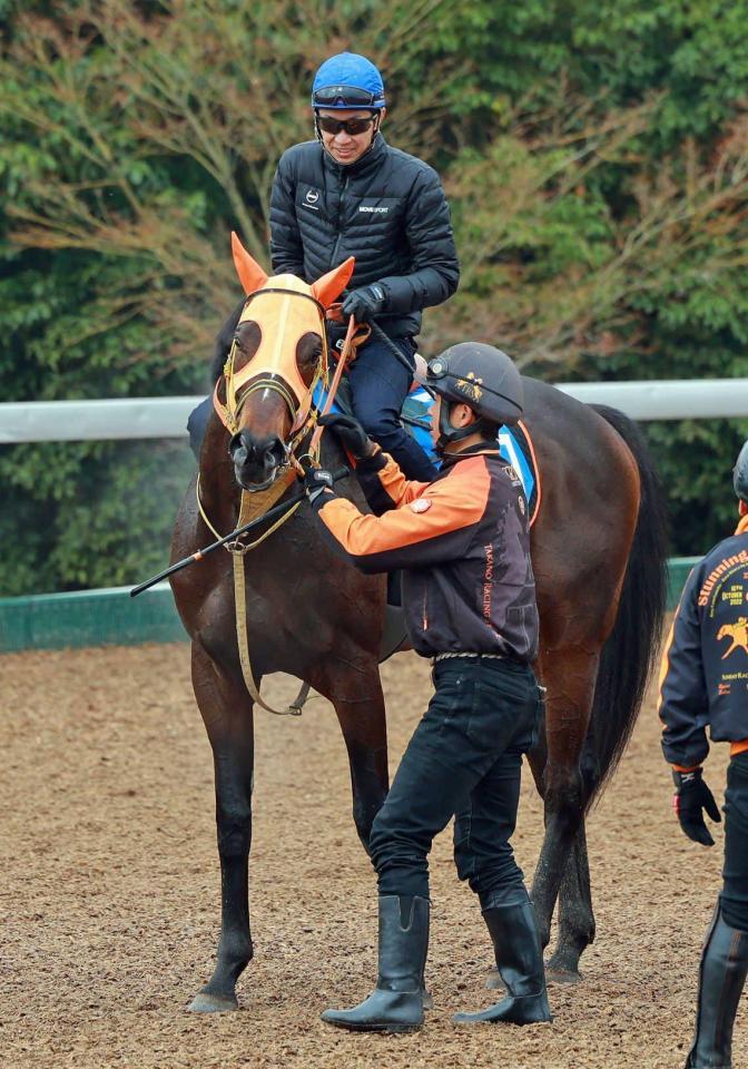 　ショウナンラプンタにまたがり、天皇賞・春９勝目を目指す武豊