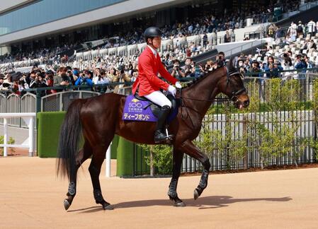 　誘導馬としてお披露目されたディープボンド（撮影・石湯恒介）