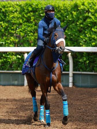 【天皇賞】展開から浮上するのはこの馬だ