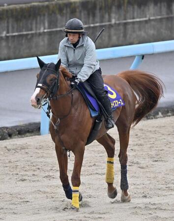 　サンライズアース