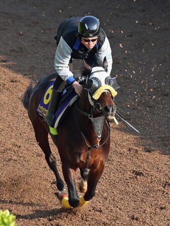 【天皇賞】馬場状態から浮上するのはこの馬だ
