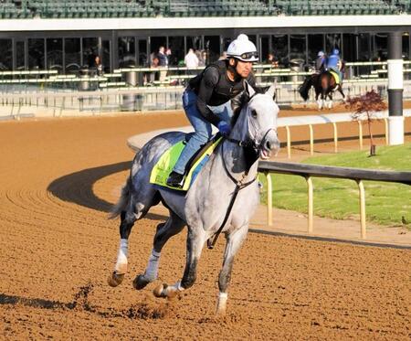 【ケンタッキーダービー】ファイナルギャンビットの末脚がライバルの脅威に コックス師「前走の末脚は大物感が漂う」