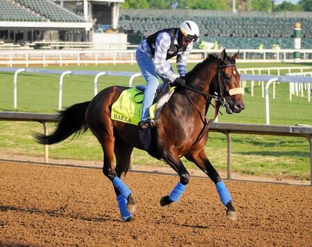　補欠から繰り上がったバエザが大仕事を狙う（撮影・平松さとし）
