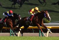 　京王杯ＳＣを制したトウシンマカオ（撮影・佐々木彰尚）