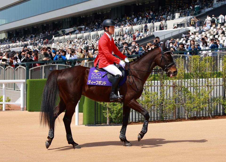 　誘導馬としてお披露目されたディープボンド（撮影・石湯恒介）