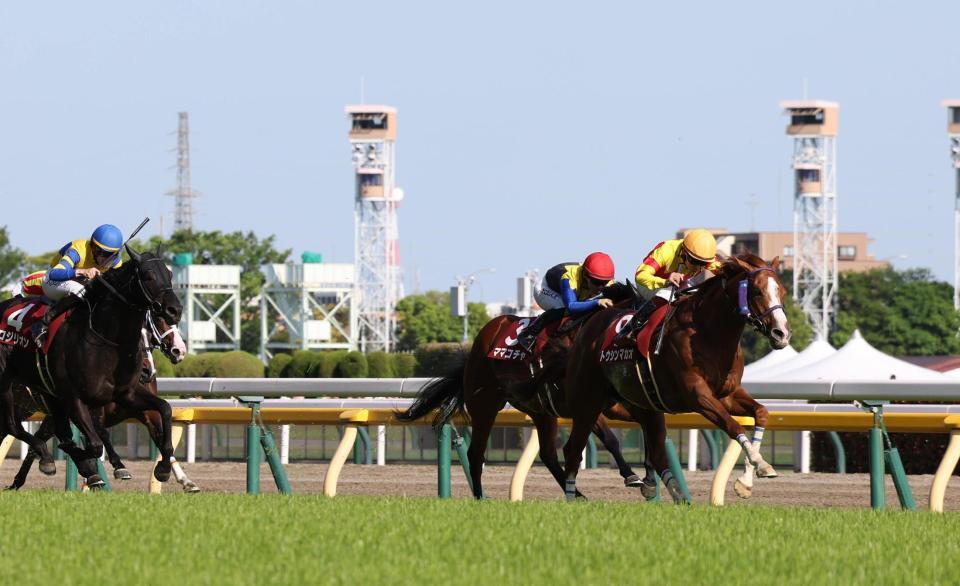 　京王杯ＳＣを制したトウシンマカオ（撮影・佐々木彰尚）