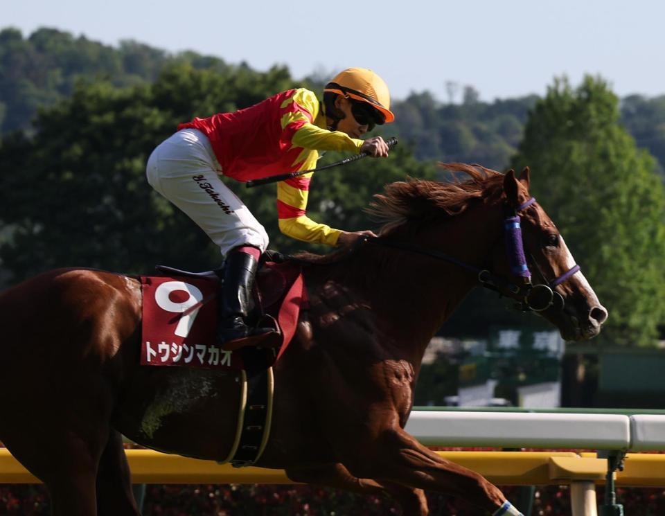 　トウシンマカオで京王杯ＳＣを制し喜ぶ横山武（撮影・佐々木彰尚）