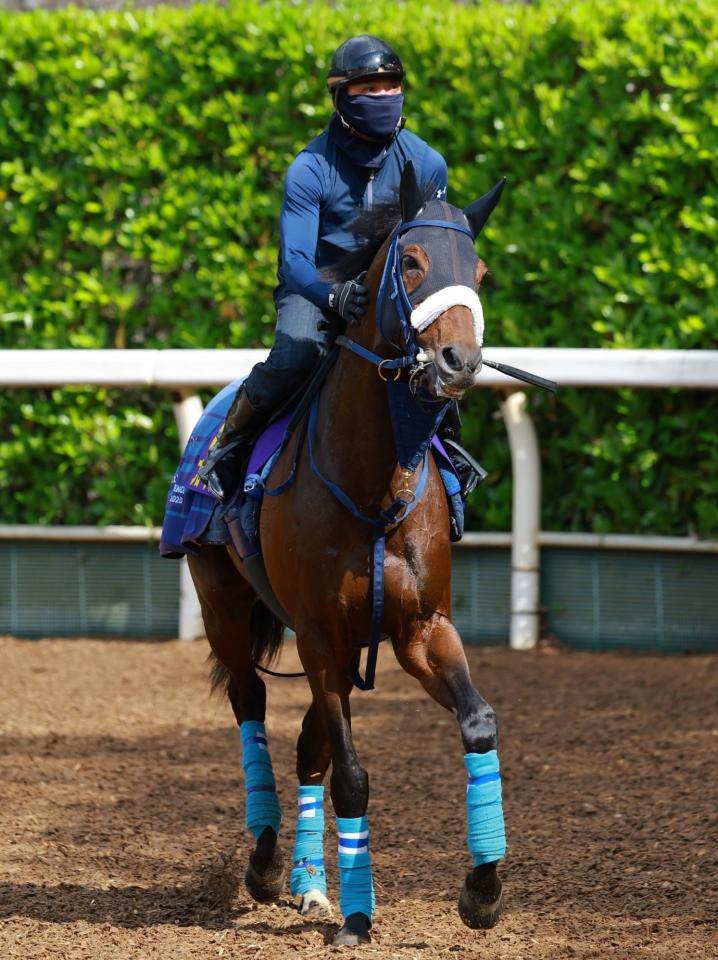 　ブローザホーン