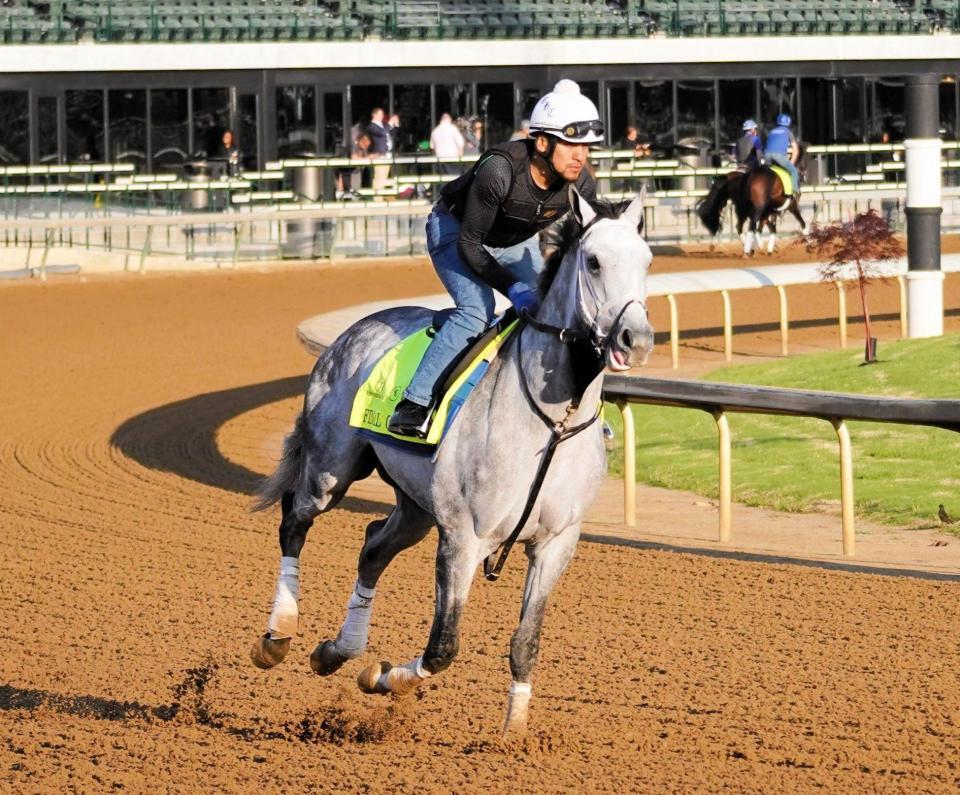 　自慢の末脚で強豪撃破を目指すファイナルギャンビット（撮影・平松さとし）