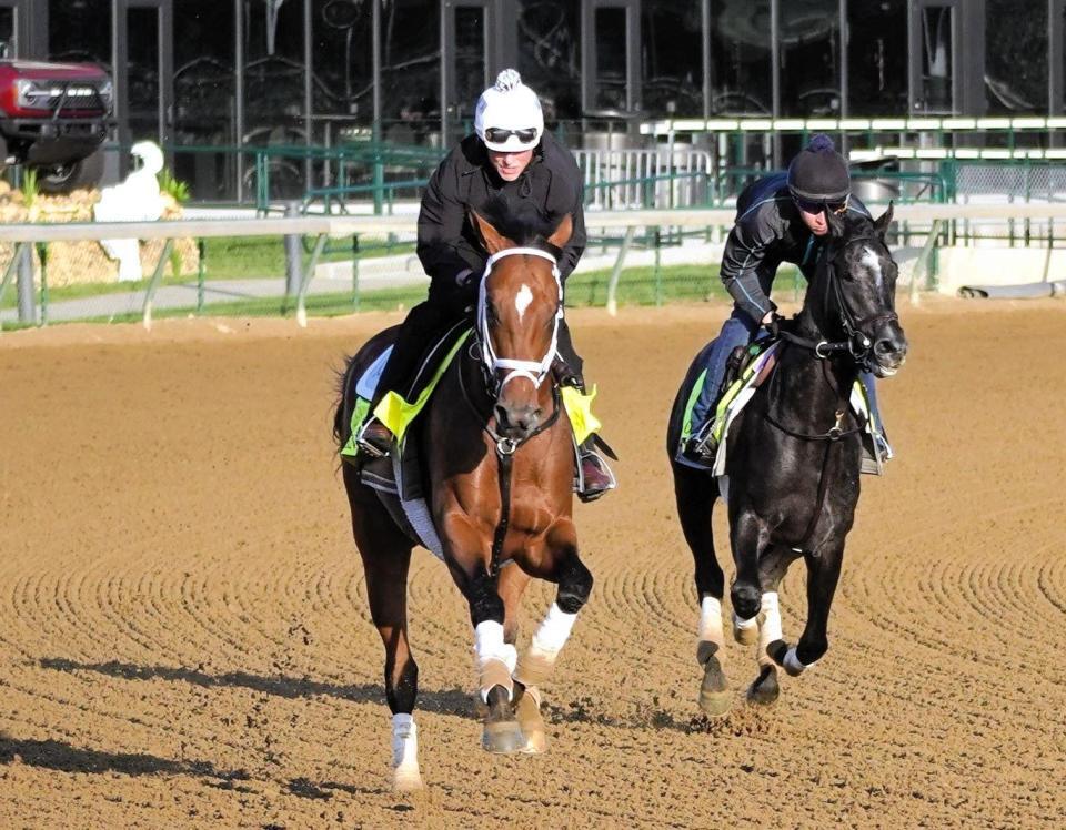 　連勝中のジャーナリズム（左）がビッグタイトル奪取を狙う（撮影・平松さとし）