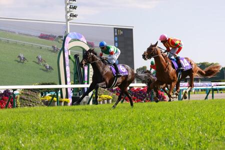 　天皇賞・春を制したヘデントール（左）