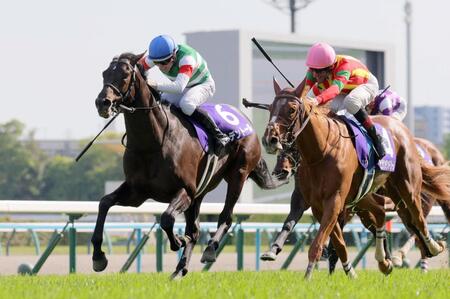 　天皇賞・春を制したヘデントール（左）。右は２着のビザンチンドリーム