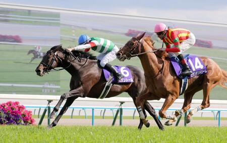 　天皇賞・春を制したヘデントール（左）。右は２着のビザンチンドリーム